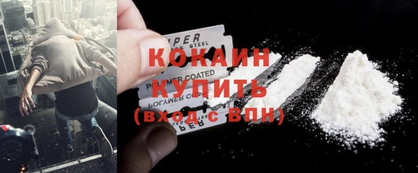 твердый Горняк