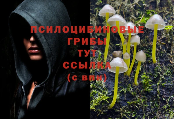 марки nbome Горнозаводск